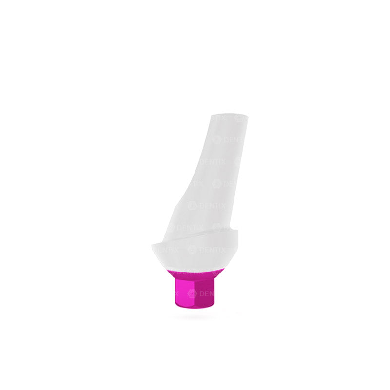 25° Abutment Angulado Anatómico Estético de Zirconia con Base de Titanio - Hex Interno (NP)